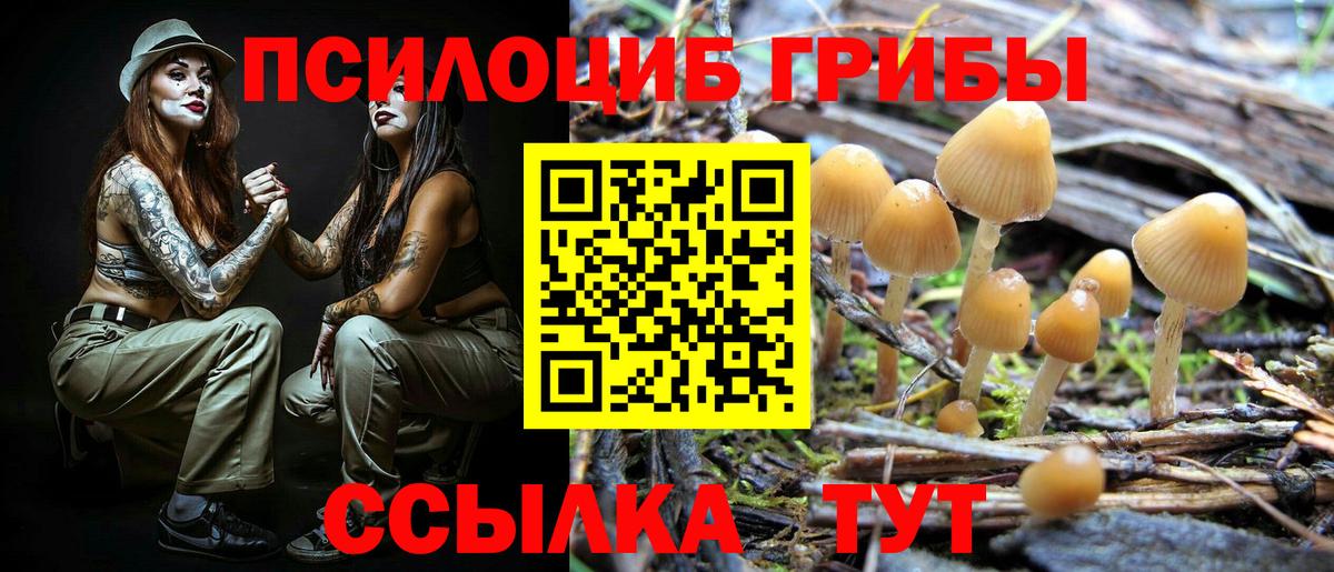 Уварово  наркота  Галлюциногенные грибы ЛСД  Вход с VPN  Псилоцибиновые грибы Cubensis 